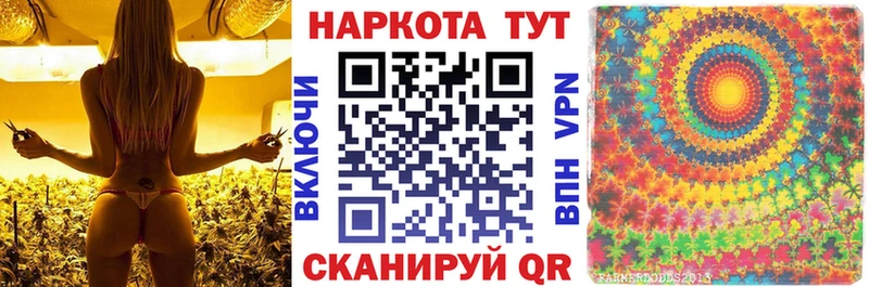 Названия наркотиков Махачкала Конопля Альфа ПВП ГАШИШ