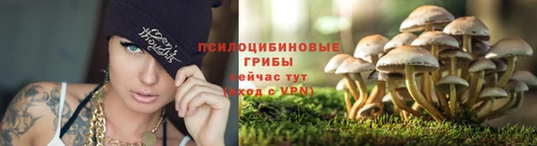 твердый Магадан