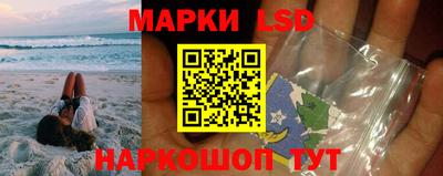 гашик Новозыбков