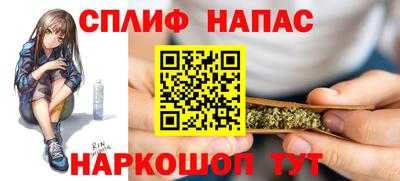 гашик Новозыбков