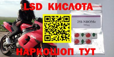 гашик Новозыбков