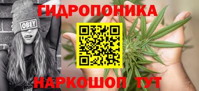 гашишное масло Новодвинск