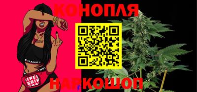 гашик Новозыбков