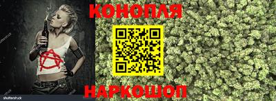 гашик Новозыбков