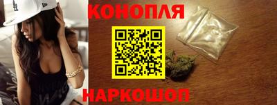 гашик Новозыбков