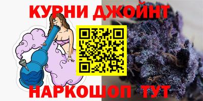 гашик Новозыбков