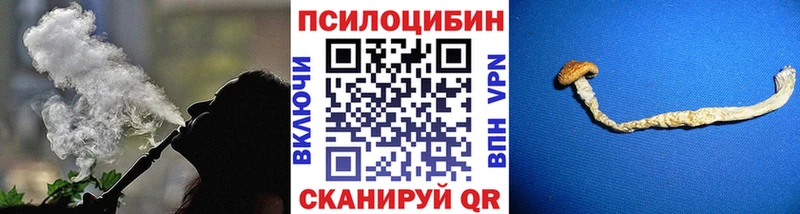 Псилоцибиновые грибы Psilocybe  Махачкала 