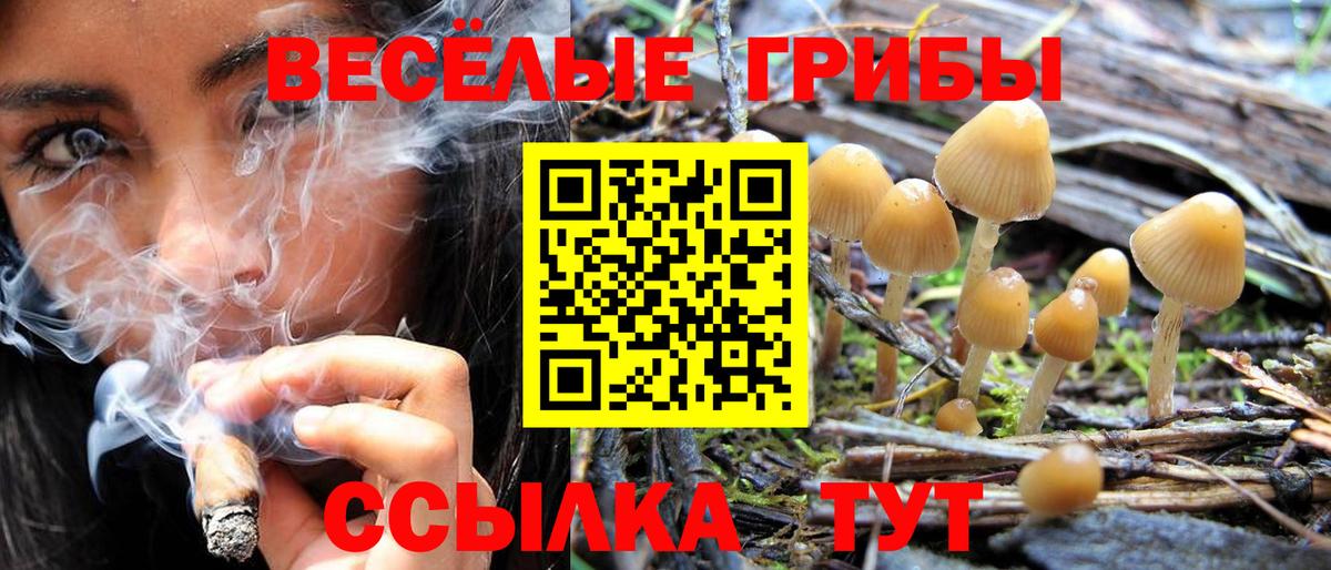 Махачкала  Псилоцибиновые грибы мицелий  Вход с VPN 